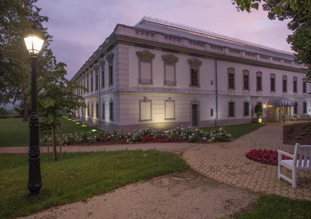 Hotel Gino Park Palace Повазька-Бистріца Екстер'єр фото