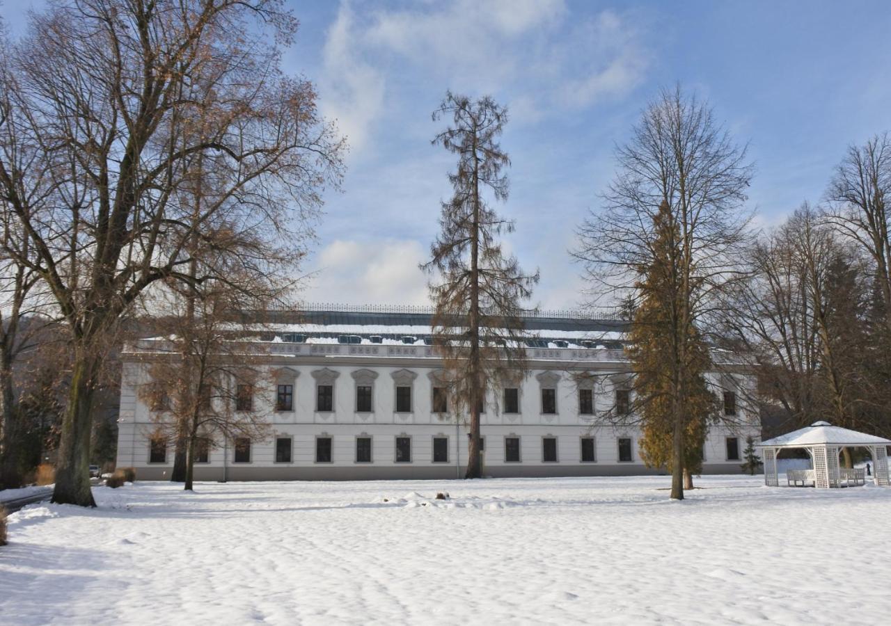 Hotel Gino Park Palace Повазька-Бистріца Екстер'єр фото